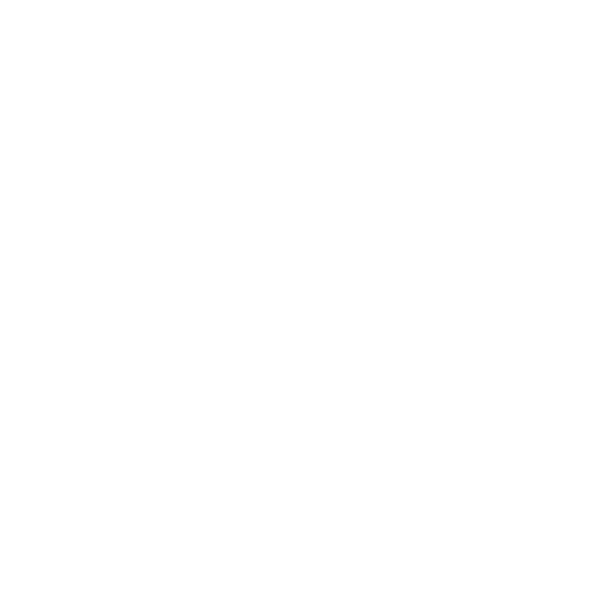 DRYER SUPPLIER