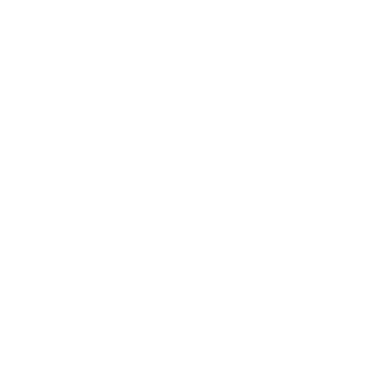 WATCH SUPPLIER